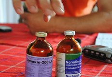 Ветеринарният лекар алармира че използваната в момента ваксина не защитава