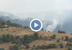 Дъждът ограничи огнената стихия в националния паркЧетвърти ден продължава борбата