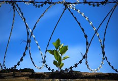 Съдът одобри споразумение за ефективна присъда от осем месеца25 годишен мъж