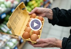 Председателят на Съюза на птицевъдите предупреди за повишена административна тежест