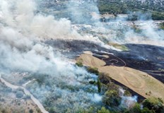 Шест пожарни екипа от Столичната пожарна се борят с огъня