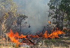Огнената стихия в Рупите е локализирана но дежурни групи остават