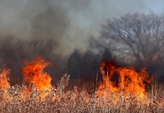 Пламъци в сухи треви между град Стралджа и възела предизвикаха