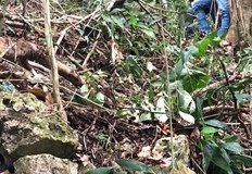 Древният град на маите Сак Бахлан устоял на испанците над