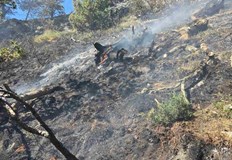 Високите температури и вятърът усложняват работата на пожарникарите и горските