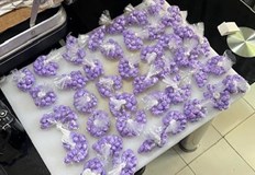 Задържани са 8 душиПродължават интензивните действия на СДВР срещу държането