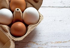 Ново изследване разкри тревожни резултатиВисоки нива на опасни химикали известни