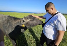 Държавата проверява животните но не дава нито лев за тяхното