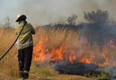 Двама души пострадаха при инциденти в Карлово и СанданскиОбщо 140