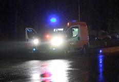 Инцидентът е станал в района на приюта за животниВ неделя