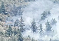 Огънят унищожи до 80 декара борова гора и храстиНезаконно сметище