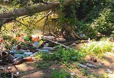 Природен парк Русенски Лом е застрашен от затлачване на рекатаОбластният