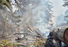 Огънят бушува в труднодостъпен терен на над 1800 метра височинаГолям