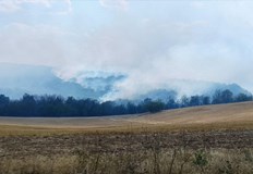 Огънят в Сакар е обхванал над 5000 декара Възрастни жени