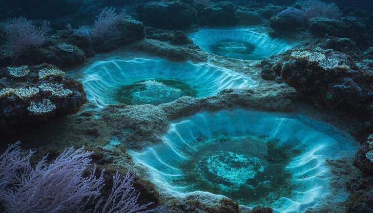 Солните басейни убиват морския живот, но крият тайни за извънземния живот