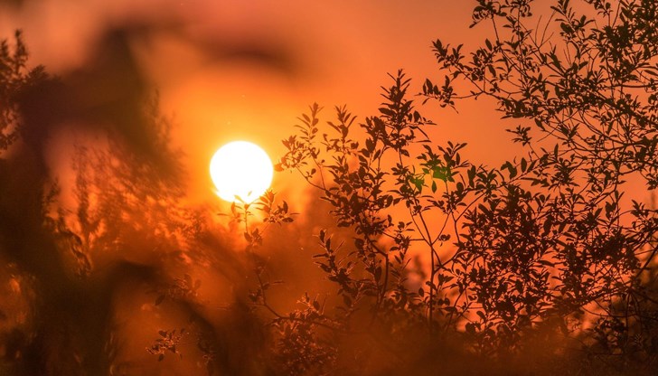 Температурите в Русе ще достигнат до 37 градуса