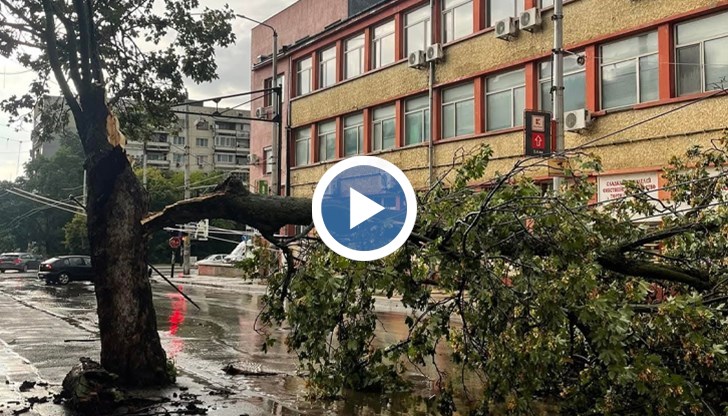 Жители на село Радишево описаха стихията като силен смерч, прекъснато е електрозахранването