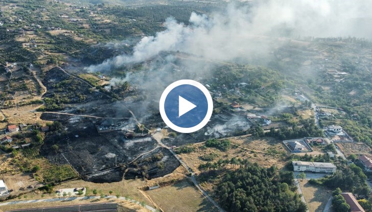 Огънят тръгна от гробище за бракувани коли и достигна до борова гора