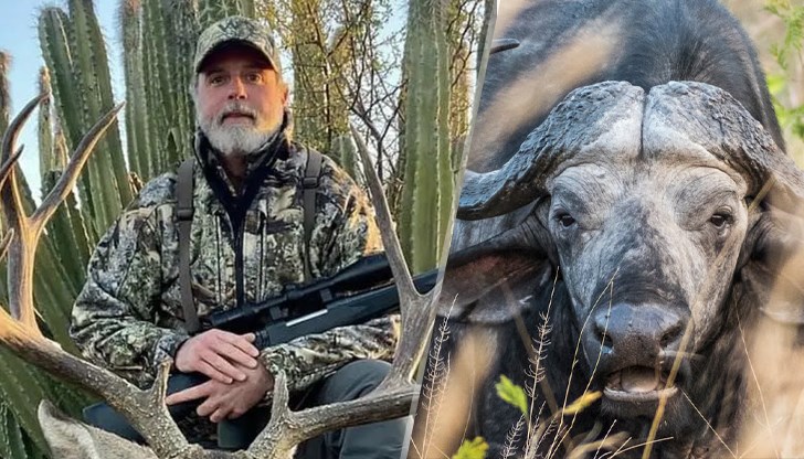 52-годишният Ашър Уоткинс беше пронизан от кафирски бивол докато ловувал в Южна Африка 52-годишният Ашър Уоткинс беше пронизан от кафирски бивол докато ловувал в Южна Африка