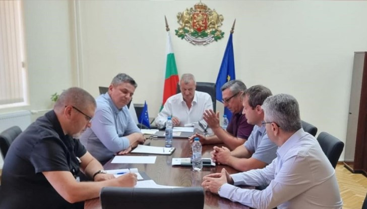 Кметът обясни защо сърните са останали спокойни в района на наблюдението