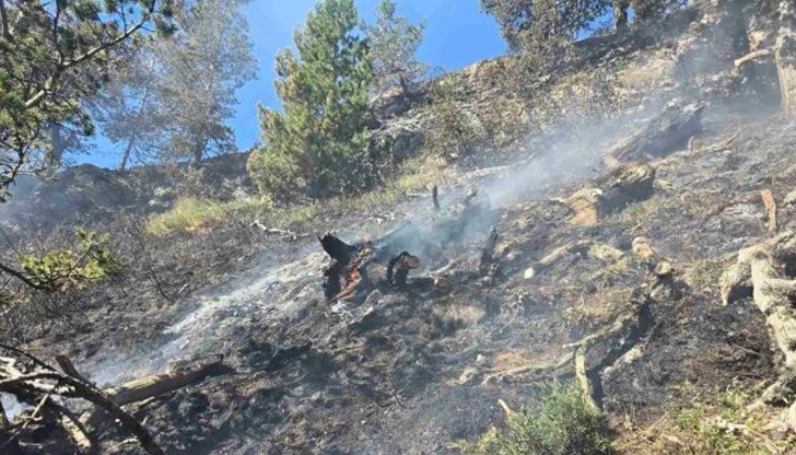 Няма ново разрастване на огъня, но горски и огнеборци остават на терен до пълно потушаване на огнищата