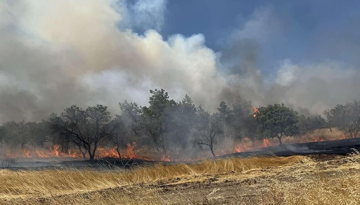 Фермерите ще получат до 50 хиляди евро обезщетение
