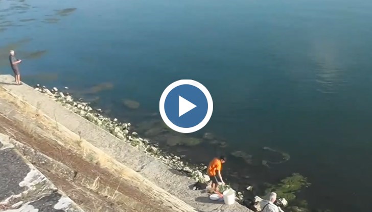 По Дунав риболовът е по-специфичен