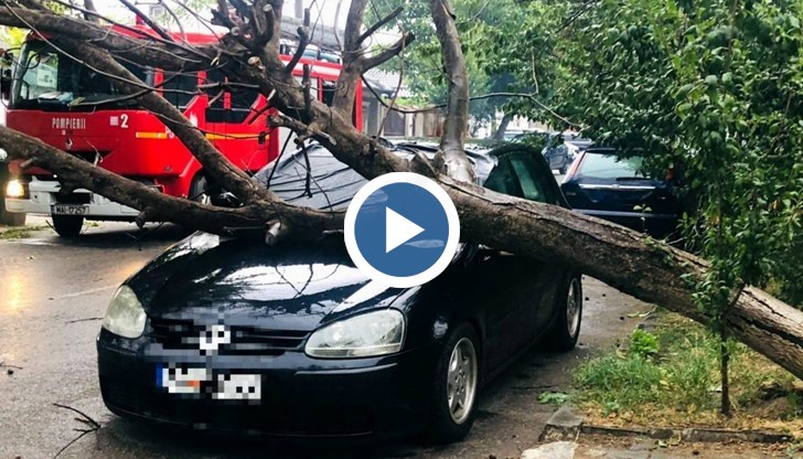 Дърветата падат върху хора и автомобили, двама каякари се удавиха в езерото Снагов