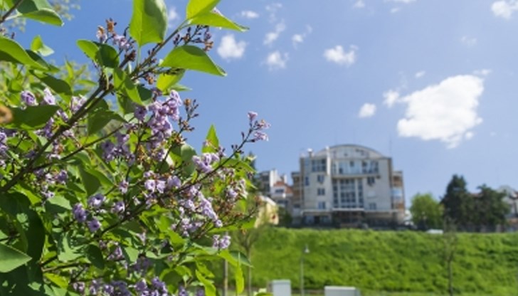 Дадени са 95 предписания за отстраняване на екологични нарушения Дадени са 95 предписания за отстраняване на екологични нарушения