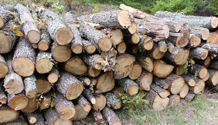 НСИ отчете намаление със 7,5 процента през второто тримесечие на годината