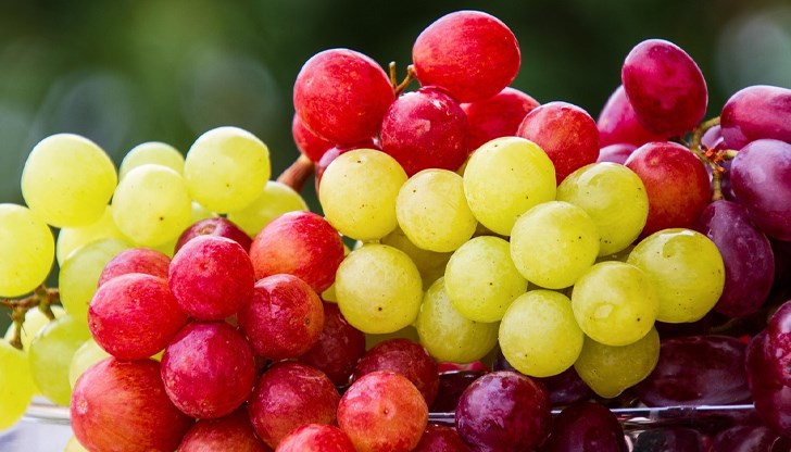 Учени откриха в плода над 1600 съединения, полезни за здравето Учени откриха в плода над 1600 съединения, полезни за здравето