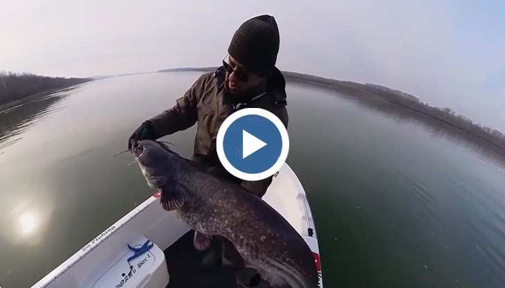 Теодор Тодоров обясни, че сомове, шарани и бели риби над определено тегло трябва да бъдат пускани обратно, за да се запази биоразнообразието