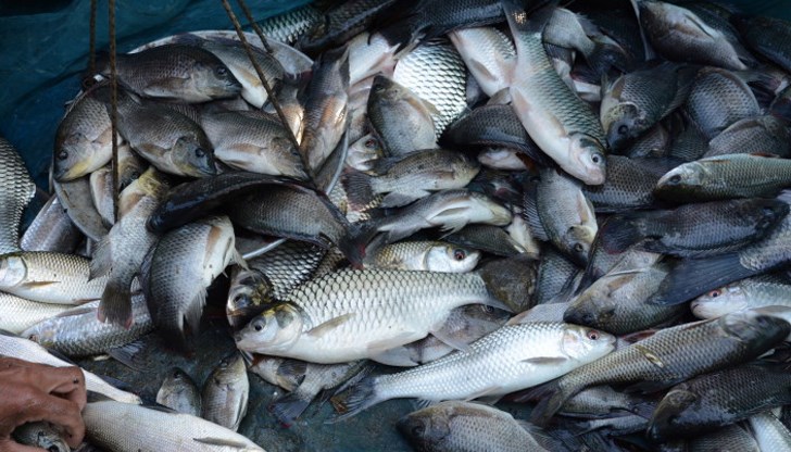 Проверяват винарски комплекс в село Старосел за възможно замърсяване