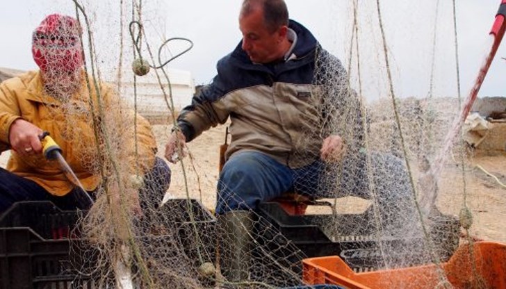 Леферът и паламудът още не са пристигнали в крайбрежните води Леферът и паламудът още не са пристигнали в крайбрежните води