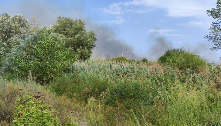 Огънят засегна тръстика и суха растителност в землищата на Цар Самуил и Нова Черна