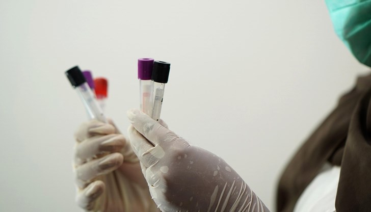 Регистрирани са шест смъртни случая за последните 12 месеца - най-високият брой от години Регистрирани са шест смъртни случая за последните 12 месеца - най-високият брой от години