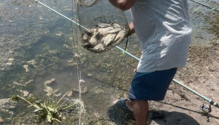 Инспекторите хванаха нарушители по реките Искър, Дунав и Огоста при проверки в три общини