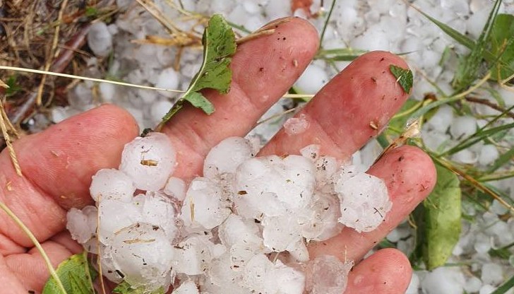 Населени места в Нови пазар, Шумен и Хитрино остават без електрозахранване Населени места в Нови пазар, Шумен и Хитрино остават без електрозахранване