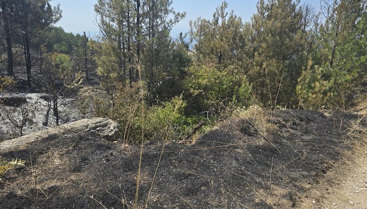 150 огнеборци гасят на терен, шведски самолети подпомагат операцията 150 огнеборци гасят на терен, шведски самолети подпомагат операцията