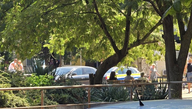 Мъжът е транспортиран в УМБАЛ "Канев" с контузия на главата