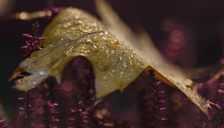 С началото на септември настъпва метеорологичната есен