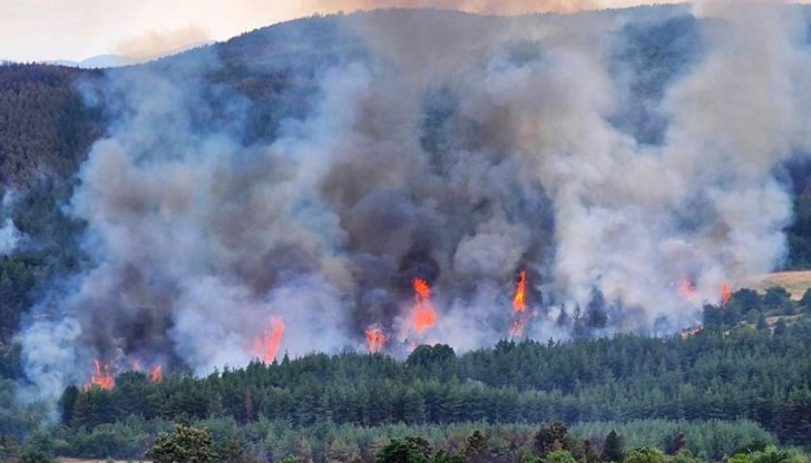 Село Доситеево е спасено, но южният фронт на огъня заплашва ключовия път към Турция