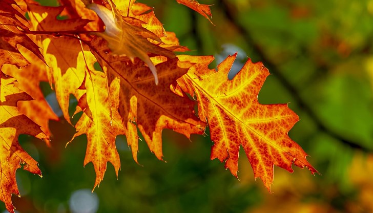 Студени фронтове и валежи ще сменят летните температури от средата на месеца