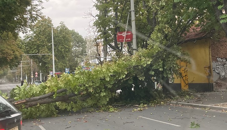 Засегнати са тролейбусните жици, спрян е тока в мрежата