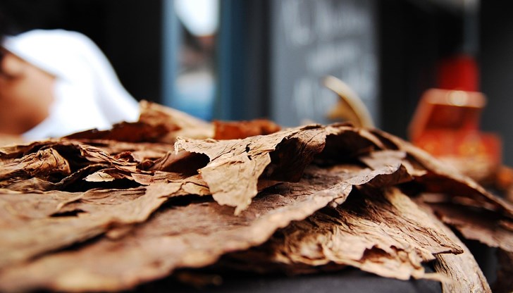 Сушата заплашва с до 50% намаление на добивите