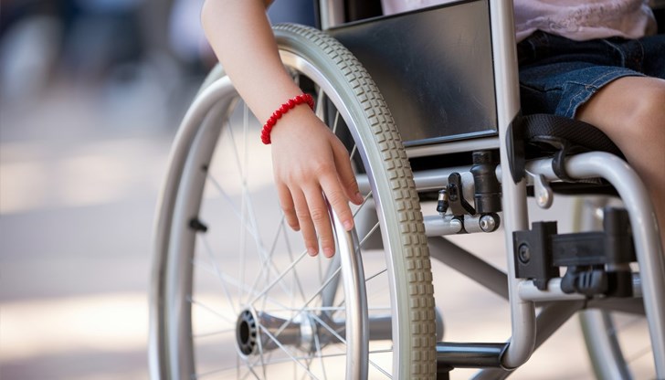 Гроздан Караджов възложи проверка по случая и осъди "безчовечната постъпка на пилота"