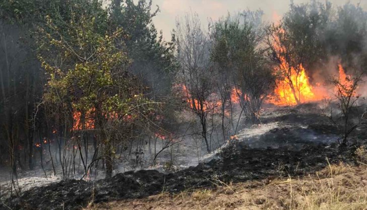 Над 60 пожарникари се борят с огъня между селата Доситеево и Коларово