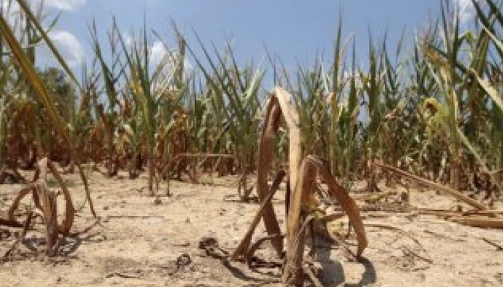 Изследователският център JRC Mars отчита силно засушаване и липса на влага в страната