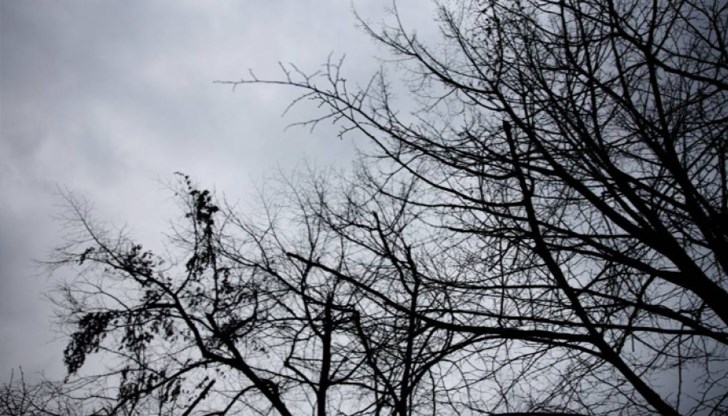 Студен фронт от Скандинавия може да донесе есенни температури между 23 и 25 градуса в края на месеца Студен фронт от Скандинавия може да донесе есенни температури между 23 и 25 градуса в края на месеца