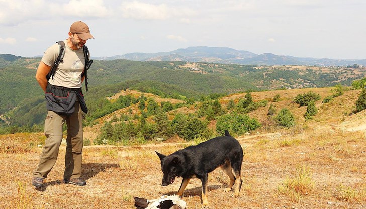 Местен жител призна, че е поставил отровна примамка за вълци